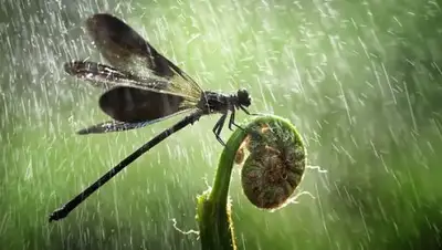 Zakon.kz, фото - Новости Zakon.kz от 04.07.2016 20:15