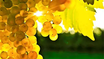 Zakon.kz, фото - Новости Zakon.kz от 26.10.2015 23:07