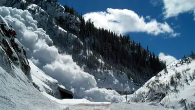 znaj.ua, фото - Новости Zakon.kz от 11.11.2019 12:50