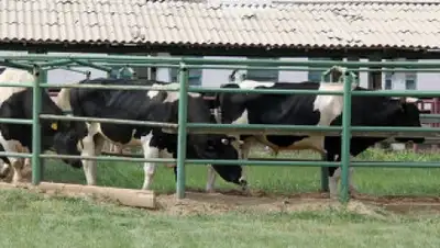 Zakon.kz, фото - Новости Zakon.kz от 08.05.2015 17:17