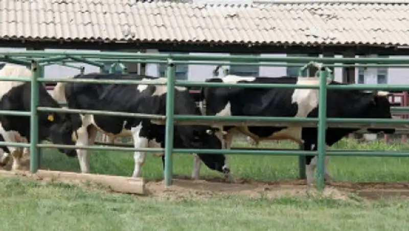 МСХ привлекает крупных иностранных инвесторов для реализации проектов сельхозпереработки