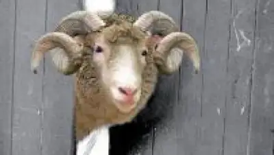 Zakon.kz, фото - Новости Zakon.kz от 06.01.2015 16:33