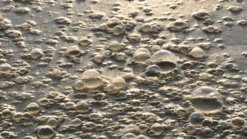 Ущерб от сброса грязной воды в Каспий оценили в 1,7 млн тенге