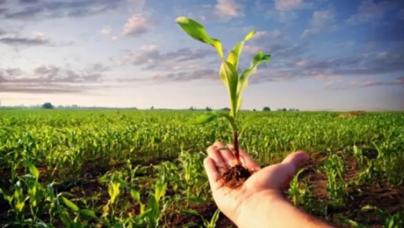 МСХ: Впервые мы знаем вклад каждого региона