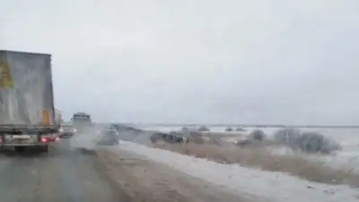 Новосибирская служба эвакуации "АСТ-54", фото - Новости Zakon.kz от 12.11.2018 18:43