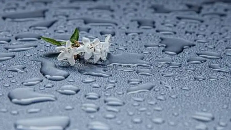 Заморозки до 3 градусов ожидаются в Казахстане