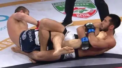 Zakon.kz, фото - Новости Zakon.kz от 24.12.2017 01:58