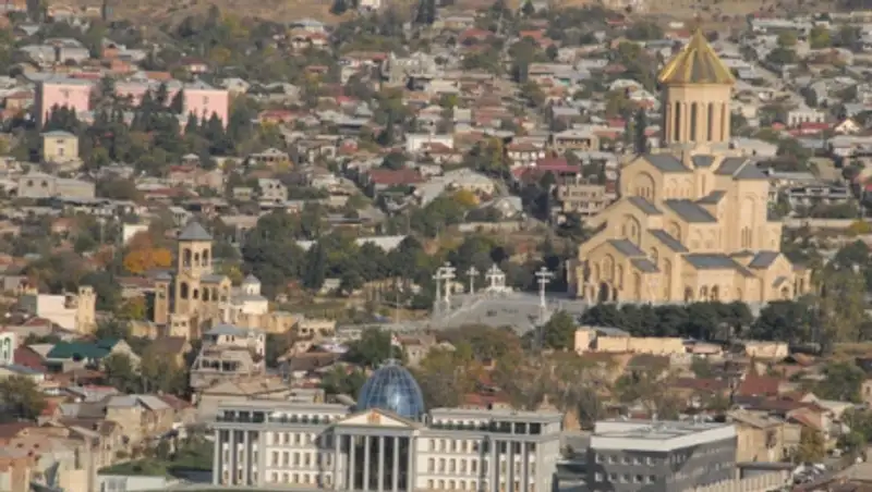 Более 30 зверей, сбежавших из зоопарка при наводнении, ищут в Тбилиси