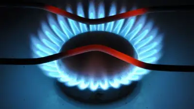 Zakon.kz, фото - Новости Zakon.kz от 04.12.2015 19:35