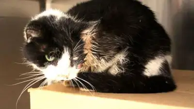 Zakon.kz, фото - Новости Zakon.kz от 04.02.2015 16:58