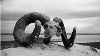 Андрей Фоменко, фото - Новости Zakon.kz от 07.06.2019 12:39