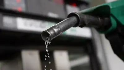 Zakon.kz, фото - Новости Zakon.kz от 23.02.2015 18:58