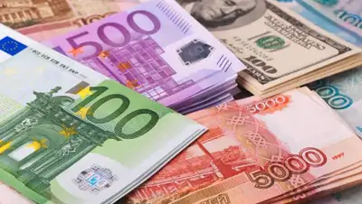 7kun.kz, фото - Новости Zakon.kz от 25.10.2019 15:58