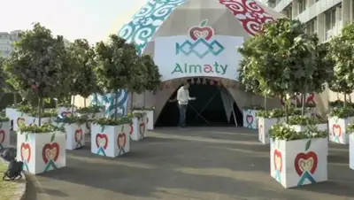 Zakon.kz, фото - Новости Zakon.kz от 17.10.2016 06:10