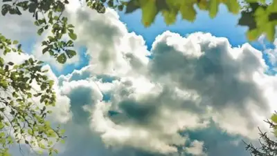 timeskz.kz, фото - Новости Zakon.kz от 16.07.2018 12:53