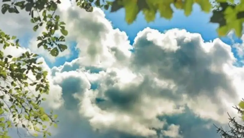 О погоде в начале недели рассказали синоптики