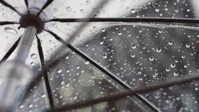 bnews.kz, фото - Новости Zakon.kz от 17.08.2018 09:52