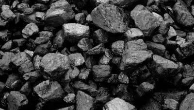 24.kz, фото - Новости Zakon.kz от 05.04.2018 09:56