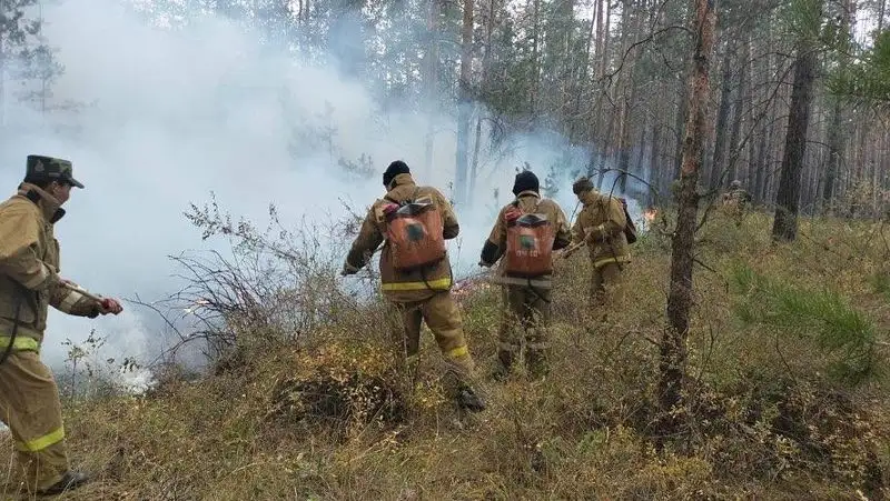 Фото со спящими на земле пожарными растрогало казахстанцев