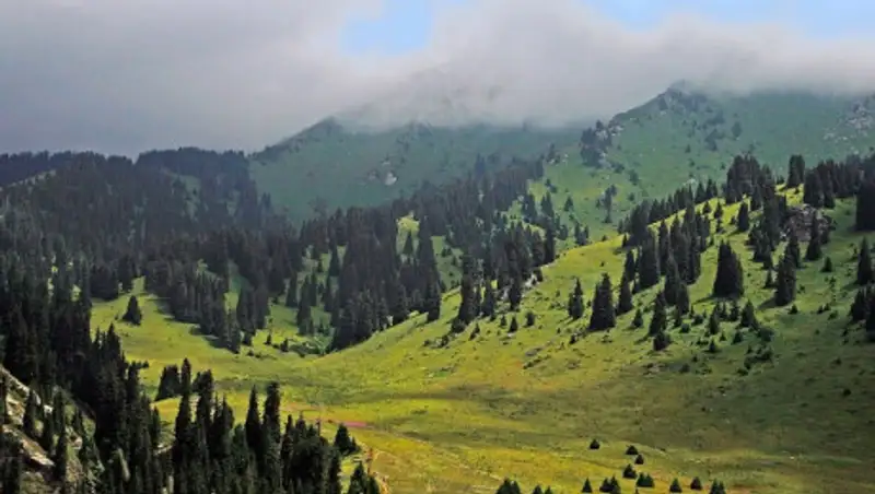 Отданные под строительство земли Кок-Жайляу вернут обратно парку