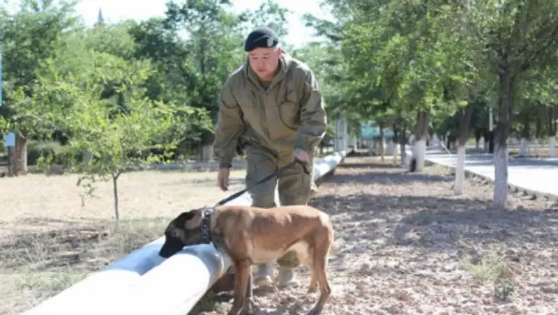 Все жители Арыси вернулись в город