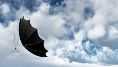 24.kz, фото - Новости Zakon.kz от 01.06.2020 09:22