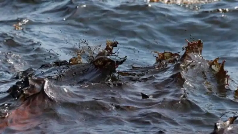 «КазТрансОйл» оштрафовали на 1,2 млн тенге за загрязнение экологии