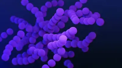 pxhere.com, фото - Новости Zakon.kz от 09.08.2021 01:12