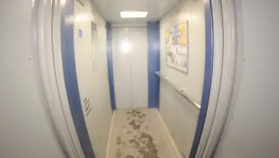 ТИА, фото - Новости Zakon.kz от 05.02.2020 18:58