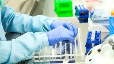 kabar.kg, фото - Новости Zakon.kz от 15.05.2020 15:00