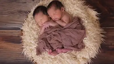 pixabay, фото - Новости Zakon.kz от 01.03.2019 08:08