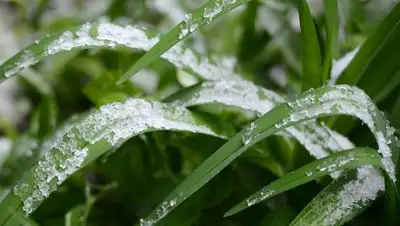 День.org, фото - Новости Zakon.kz от 18.04.2018 18:00