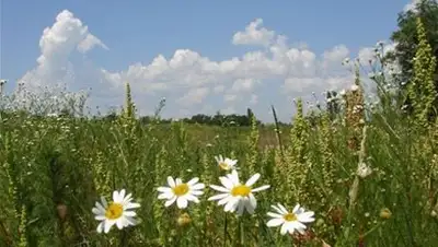 Zakon.kz, фото - Новости Zakon.kz от 06.09.2014 15:00