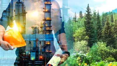 Pand P Studio / Shutterstock.com, фото - Новости Zakon.kz от 20.03.2020 16:16