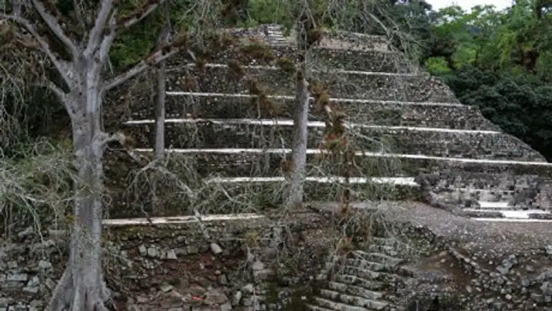Ученые нашли в Гватемале более 60 тысяч построек цивилизации майя