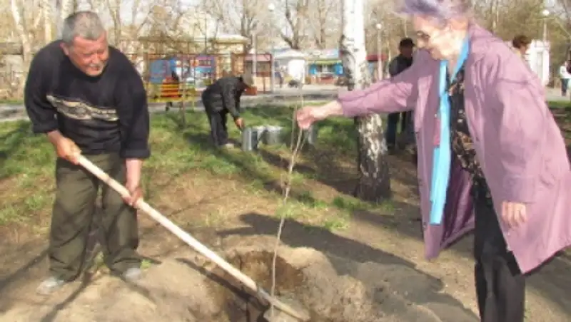 Более 200 тыс. саженцев планируют посадить в этом году при школах и детсадах ЮКО