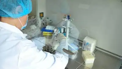 biosafety.kz, фото - Новости Zakon.kz от 09.10.2021 09:50