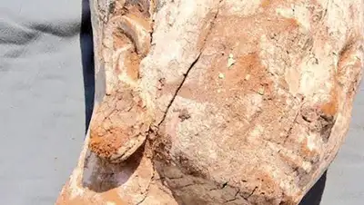 Zakon.kz, фото - Новости Zakon.kz от 18.10.2017 20:56