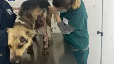 Instagram, фото - Новости Zakon.kz от 09.01.2021 18:42