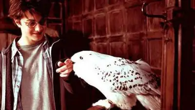 Zakon.kz, фото - Новости Zakon.kz от 14.08.2017 07:59