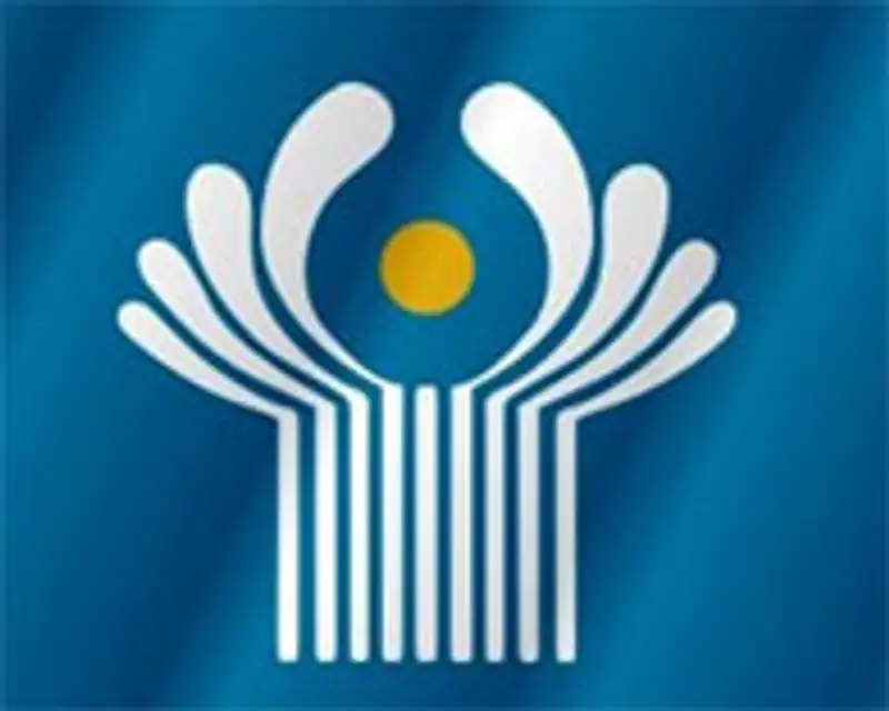 Саммит глав государств СНГ прошел в Душанбе, фото - Новости Zakon.kz от 05.09.2011 16:23