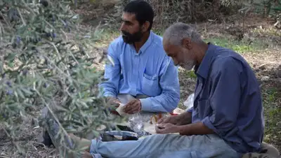 Pixabay, фото - Новости Zakon.kz от 13.10.2019 14:04