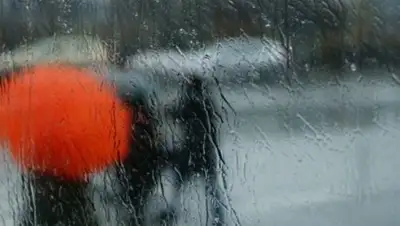 Zakon.kz, фото - Новости Zakon.kz от 12.09.2017 00:19