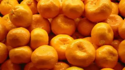 odrobnosti.ua, фото - Новости Zakon.kz от 02.03.2020 10:43