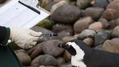 Zakon.kz, фото - Новости Zakon.kz от 24.06.2015 04:06