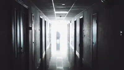 Pixabay, фото - Новости Zakon.kz от 03.12.2019 22:12