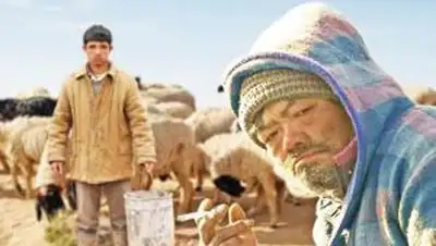 Zakon.kz, фото - Новости Zakon.kz от 31.10.2014 19:02