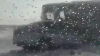 Zakon.kz, фото - Новости Zakon.kz от 17.02.2017 21:33