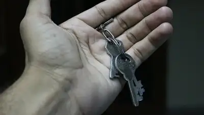 © Public Domain, фото - Новости Zakon.kz от 01.02.2018 06:34