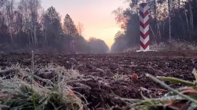 Twitter/Straz_Graniczna, фото - Новости Zakon.kz от 14.11.2021 00:26